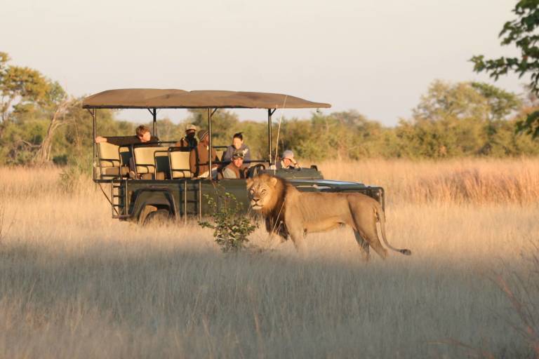 Hwange-Victoria Falls-Chobe-Maun