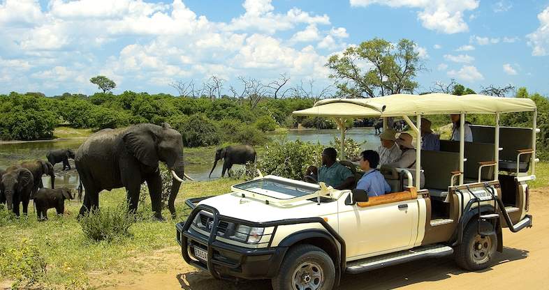 chobe-marina-chobe-national-park-game-drive-786x416